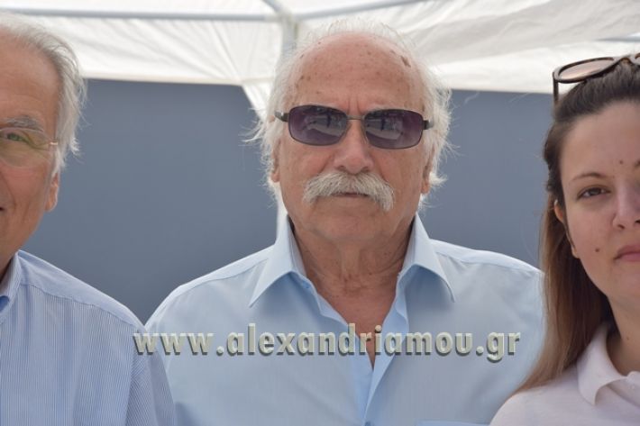 alexandriamou_1_alexandrinos_dromos089